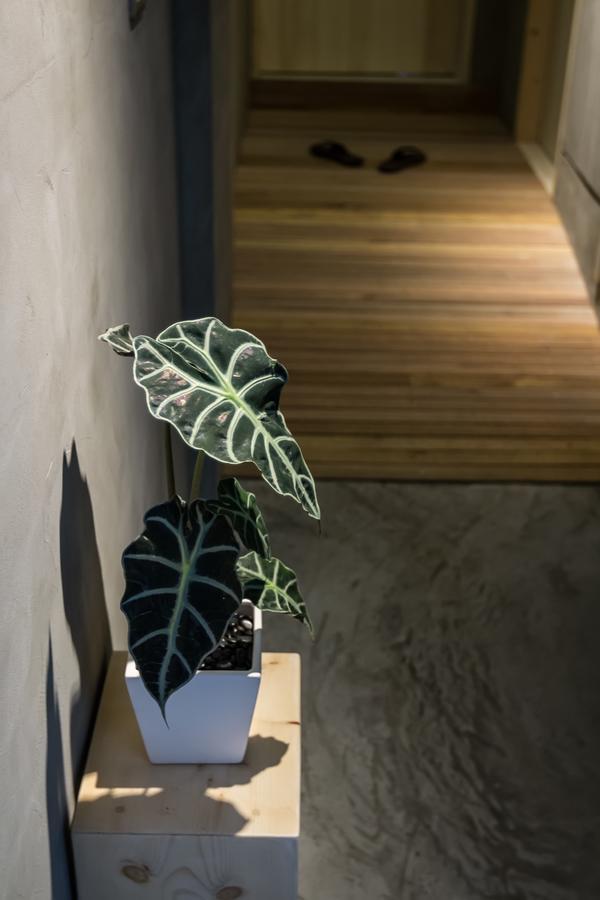魚池郷 シャオグアン 188 Bed & Breakfast エクステリア 写真
